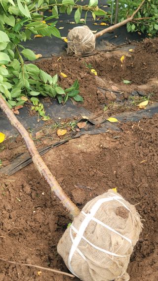 김진홍님의 자유주제 · 자유게시판 작성글 사진