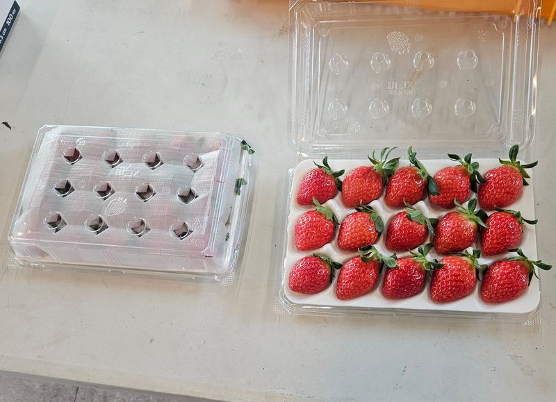 윤승희님의 장터 판매 상품 [상주 스마트팜 설향 딸기 800g] 첨부 사진
