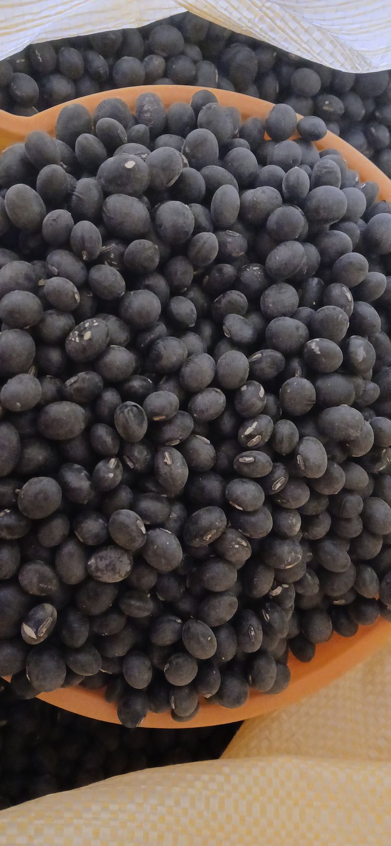 농부의딸램님의 장터 판매 상품 [2025년산 귀족서리태(논두렁) ] 첨부 사진