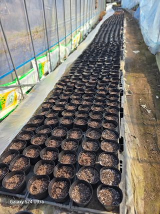 약초원 김종군님의 자유주제 · 자유게시판 작성글 사진