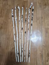 팜모닝 자유주제·자유게시판 게시글 이미지