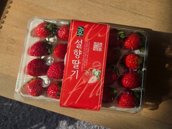 윤승희님의 장터 판매 상품 [상주 스마트팜 설향 딸기 800g] 첨부 사진