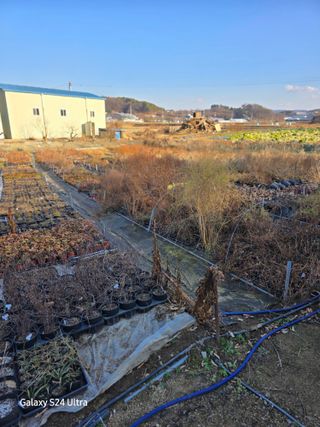 약초원 김종군님의 자유주제 · 자유게시판 작성글 사진