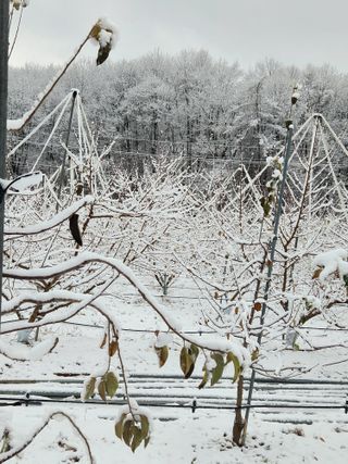 행복농원님의 자유주제 · 자유게시판 작성글 사진