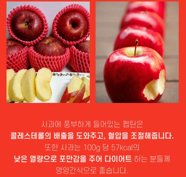 스피드번님의 장터 판매 상품 [부사사과 선물세트] 첨부 사진