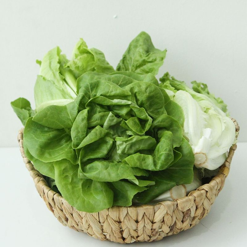 장터 상품 [유럽채소] 썸네일