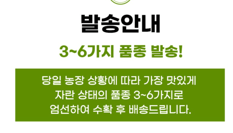 스피드번님의 장터 판매 상품 [유럽채소] 첨부 사진