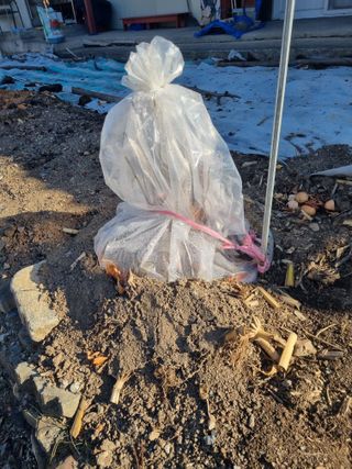 김용대님의 자유주제 · 자유게시판 작성글 사진