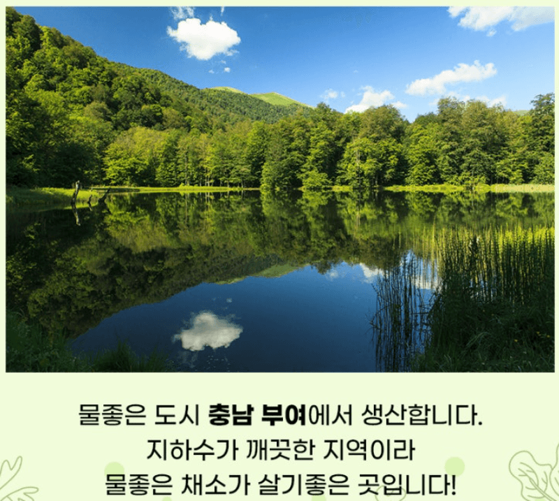 스피드번님의 장터 판매 상품 [유럽채소] 첨부 사진