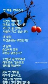 팜모닝 자유주제·자유게시판 게시글 이미지