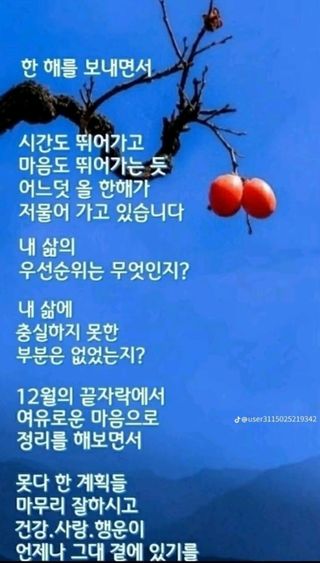울금박사/빈덕열목사님의 자유주제 · 자유게시판 작성글 사진