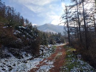 울금박사/빈덕열목사님의 자유주제 · 자유게시판 작성글 사진