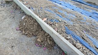 작은꽃밭님의 자유주제 · 자유게시판 작성글 사진