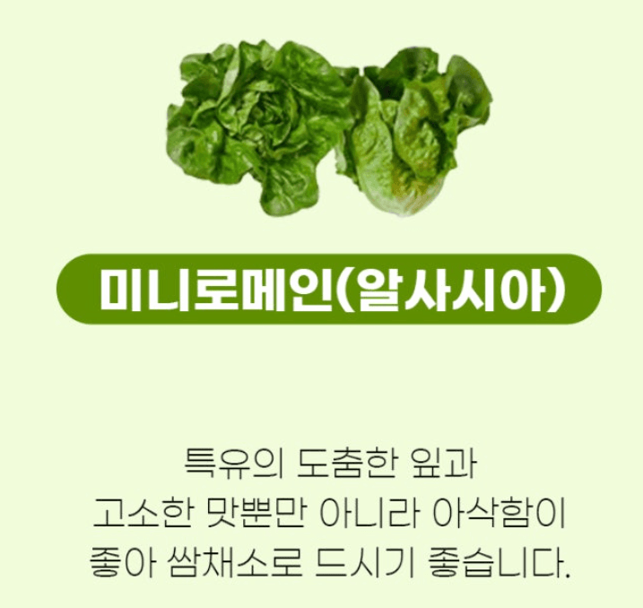 스피드번님의 장터 판매 상품 [유럽채소] 첨부 사진