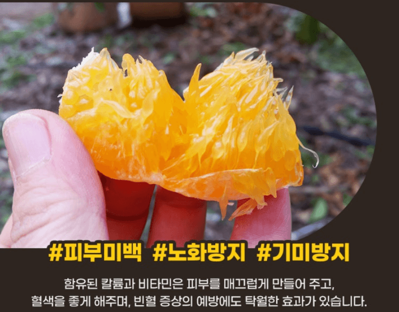 스피드번님의 장터 판매 상품 [제주직송 [레드향]] 첨부 사진