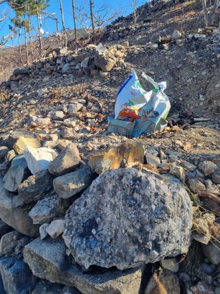 김용대님의 자유주제 · 자유게시판 작성글 사진