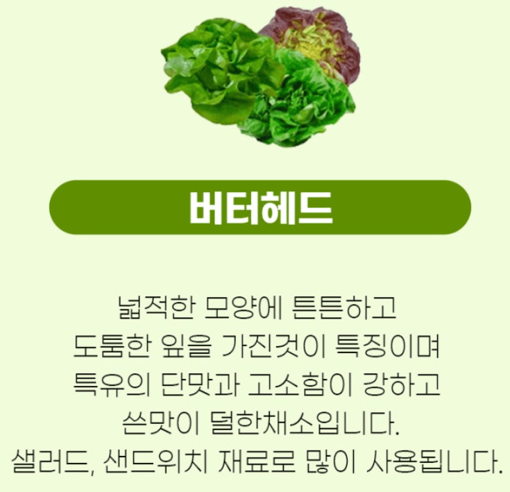 스피드번님의 장터 판매 상품 [유럽채소] 첨부 사진