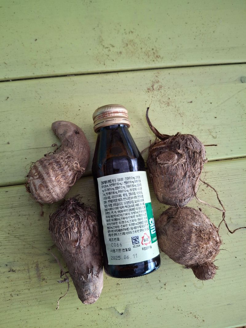 님프의 숲님의 장터 판매 상품 [토란] 첨부 사진