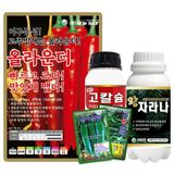 팜모닝 · 게시글 이미지