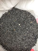 팜모닝 자유주제·자유게시판 게시글 이미지