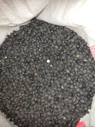 오화순님의 자유주제 · 자유게시판 작성글 사진