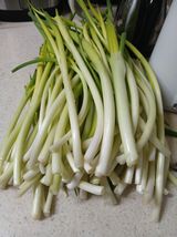 팜모닝 자유주제·자유게시판 게시글 이미지