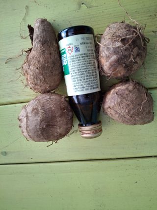 님프의 숲님의 작성글 사진