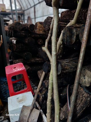 강성흔목사 님의 자유주제 · 자유게시판 작성글 사진