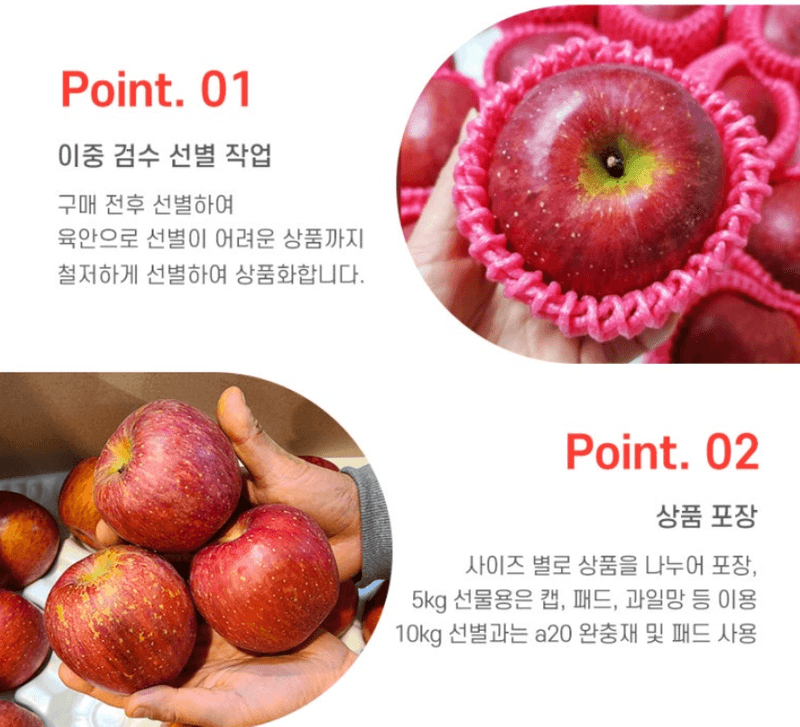 스피드번님의 장터 판매 상품 [부사사과 선물세트] 첨부 사진