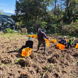 독고다이님의 자유주제 · 자유게시판 작성글 사진