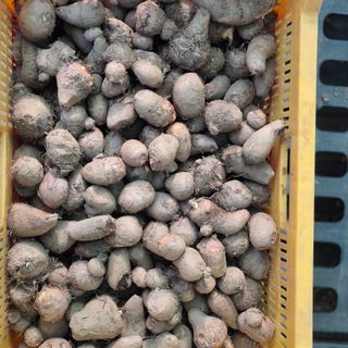 독고다이님의 자유주제 · 자유게시판 작성글 사진