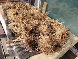 이현상홍길동건강즙님의 자유주제 · 자유게시판 작성글 사진