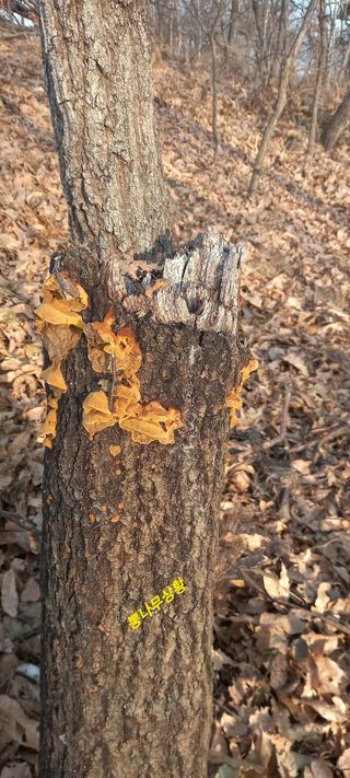 김대현(청솔)님의 자유주제 · 자유게시판 작성글 사진