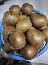 팜모닝 자유주제·자유게시판 게시글 이미지