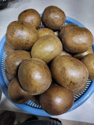 이연화님의 자유주제 · 자유게시판 작성글 사진