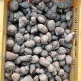 팜모닝 자유주제·자유게시판 게시글 이미지