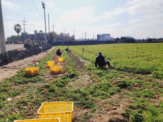 한경훈님의 자유주제 · 자유게시판 작성글 사진