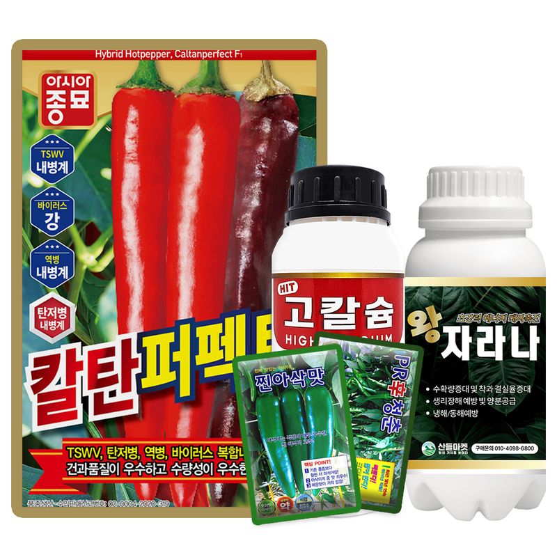 장터 상품 [아시아종묘 칼탄퍼펙트 고추씨앗 1200립 + 사은품] 썸네일