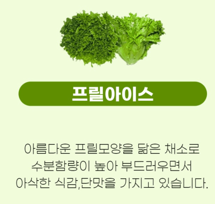 스피드번님의 장터 판매 상품 [유럽채소] 첨부 사진