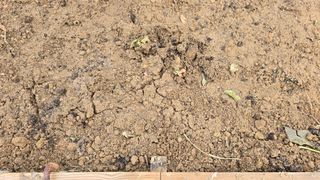 작은꽃밭님의 자유주제 · 자유게시판 작성글 사진