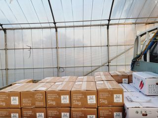 한경훈님의 자유주제 · 자유게시판 작성글 사진