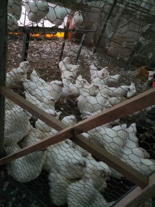 김영복님의 작성글 사진