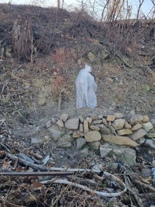 김용대님의 자유주제 · 자유게시판 작성글 사진