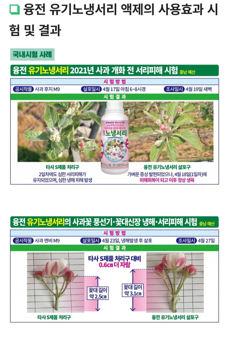 한농농약종묘사님의 장터 판매 상품 [[냉해,서리 예방회복]해조추출물] 첨부 사진