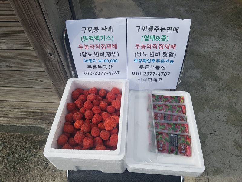 이형규님의 장터 판매 상품 [꾸지뽕 엑기스 원액즙] 첨부 사진