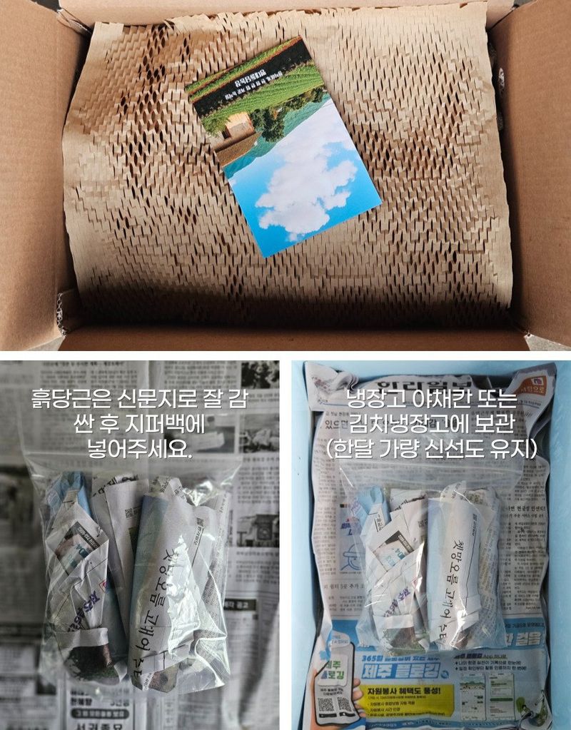 평대돌담농장님의 장터 판매 상품 [25년 제주 구좌 흙당근 5kg 10kg] 첨부 사진