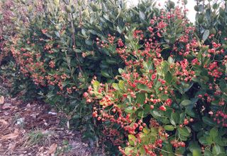 김윤기님의 자유주제 · 자유게시판 작성글 사진