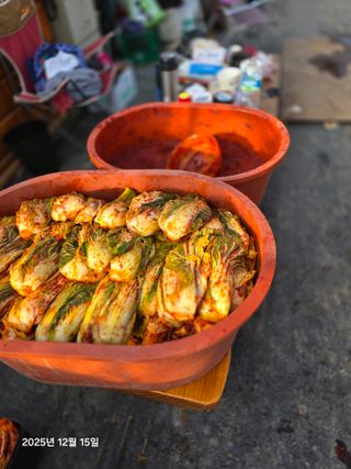 박용열조물주님 님의 자유주제 · 자유게시판 작성글 사진