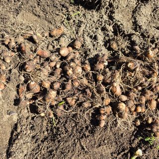 독고다이님의 자유주제 · 자유게시판 작성글 사진