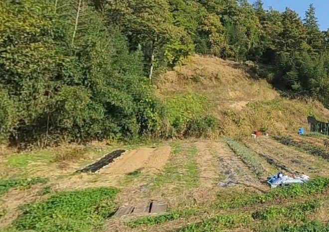 김삿갓님의 장터 판매 상품 [2026년 햇 고추가루 고춧가루 시세 가격 판매 가격 값 1근 한근 500그램 600그램] 첨부 사진